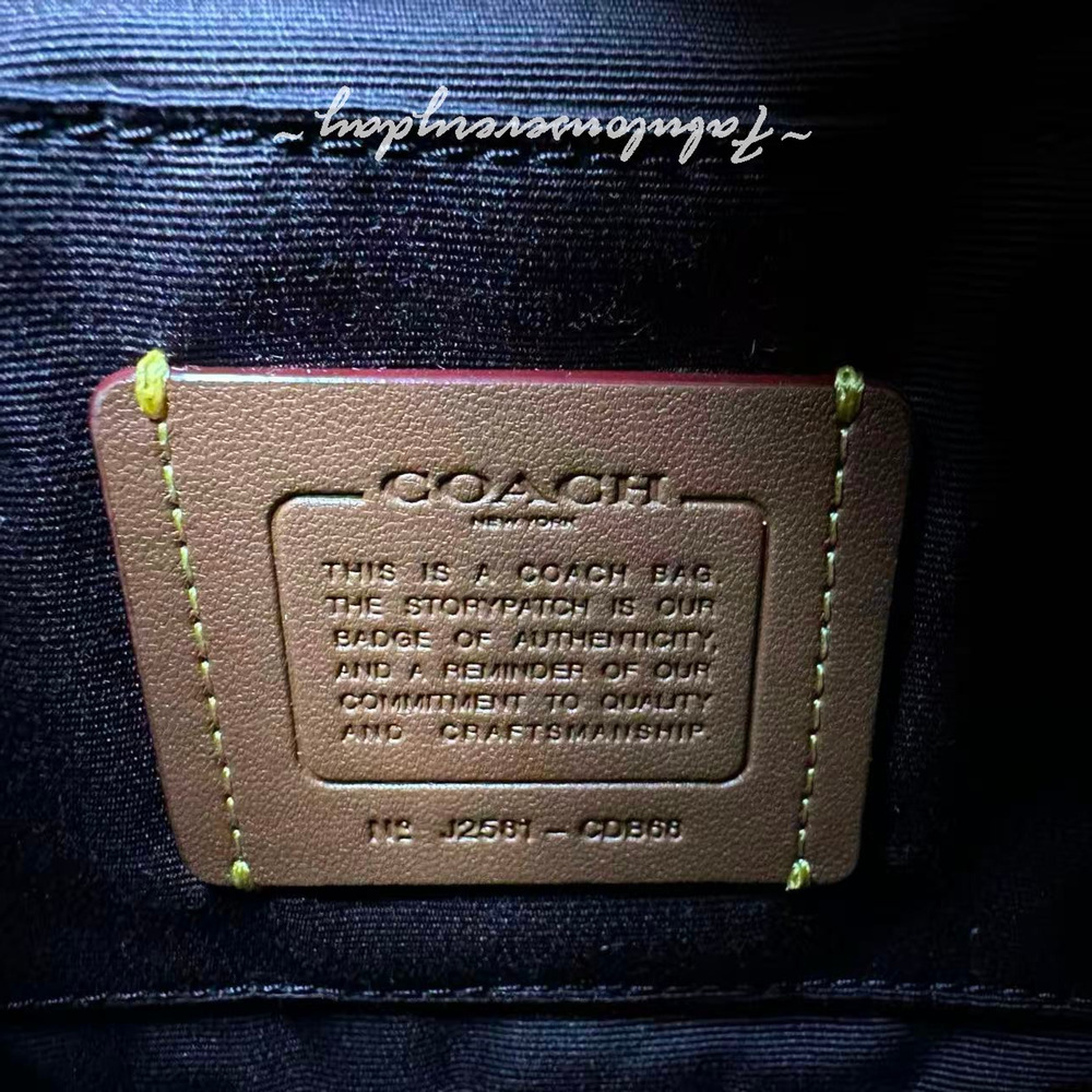 Coach Faye Mini Drawstring Bag In Crinkle Leather/Gold/Dark Cardinal CDB68 NWT - Picture 8 of 8